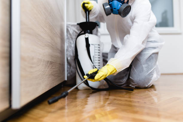Best Wildlife Control Services  in Cross Mountain, TX