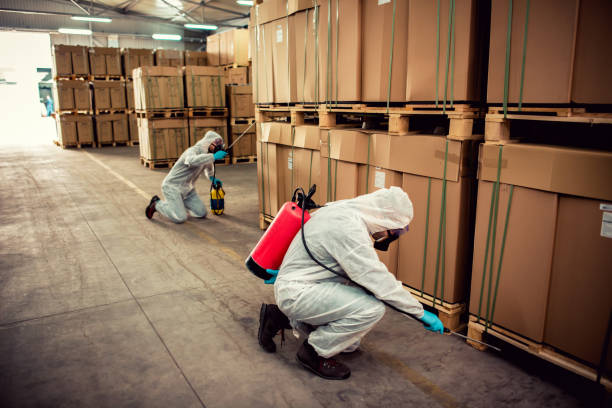 Best Emergency Pest Control  in Cross Mountain, TX