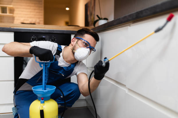 Pest Prevention Services in Cross Mountain, TX