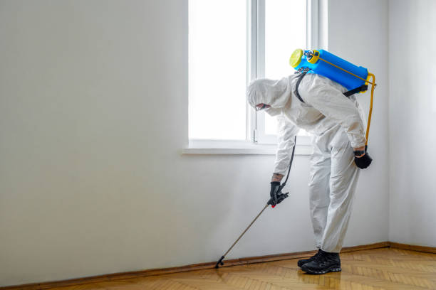 Best Wildlife Control Services  in Cross Mountain, TX