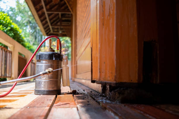 Best Pest Removal Services  in Cross Mountain, TX