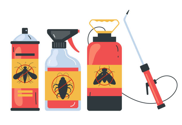 Best Affordable Pest Control Services  in Cross Mountain, TX